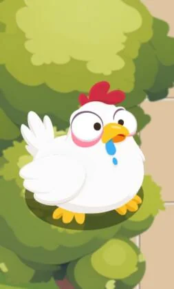 Ruta del Pollo